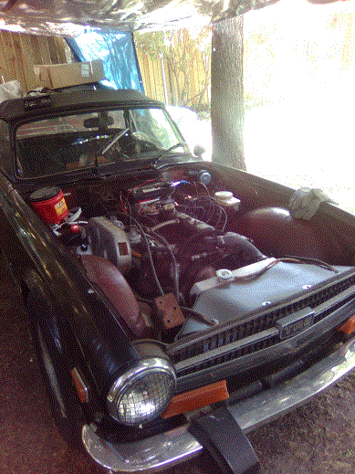 TR6_Austin1gs